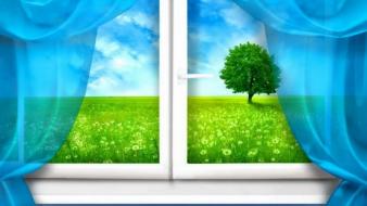 Nature window panes wallpaper