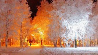 Nature winter snow trees night lights wallpaper