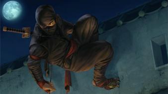 Ninjas fantasy art wallpaper