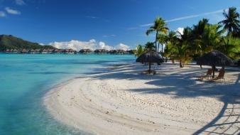 Palm trees resort bora rest azure tropics wallpaper