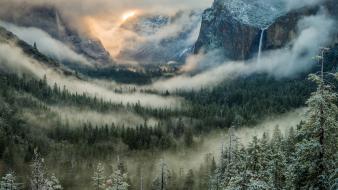 Valleys fog mist pine yosemite national park wallpaper