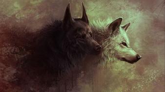 Artwork fan art wolves volk wallpaper
