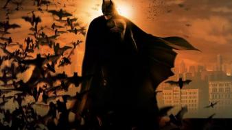 Batman superheroes begins bats wallpaper
