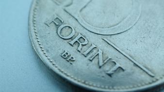 Coins money macro hungarian forint wallpaper