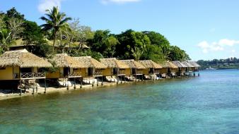 Landscapes nature coast palm trees resort rest bungalow