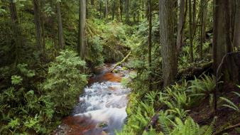 Nature british columbia parks cliff