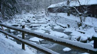 Nature winter snow trees rivers