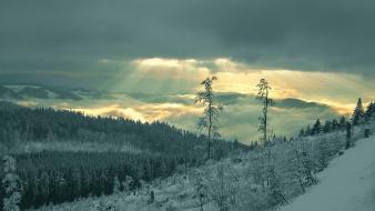 Nature winter sunlight snow landscapes skies