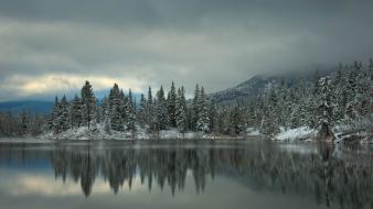 Snow trees lakes pine wallpaper
