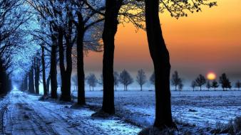 Sunset winter snow trees roads wallpaper