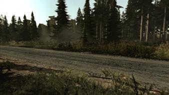 Video games forest arma 2 roadside wilderness