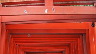 Japan fushimi inari shrine wallpaper