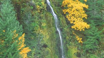 Nature oregon hot springs waterfalls wallpaper