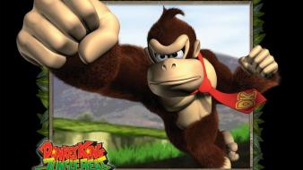 Video games donkey kong jungle beat wallpaper