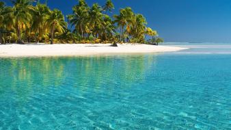 Water ocean landscapes cook islands palms sea beach wallpaper
