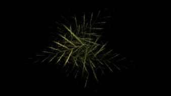 Abstract needles pine black background widescreen fractal art wallpaper
