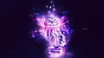 Animals owls digital art artwork wallpaper