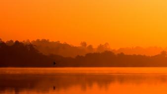 Birds silhouette sunlight lakes sri lanka reflections wallpaper