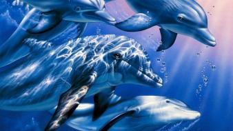 Bubbles dolphins 3d underwater wallpaper