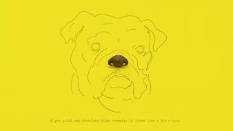 Minimalistic text dogs funny artwork brock wallpaper