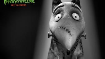 Movies animation frankenweenie wallpaper