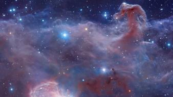 Outer space horse head nebula wallpaper