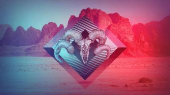 Skulls desert artwork gradient indie wallpaper