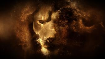 Animals digital art artwork lions wallpaper