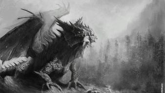 Black and white dragons forests fantasy art drawings wallpaper