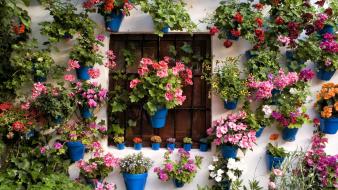 Flowers houses wallpaper