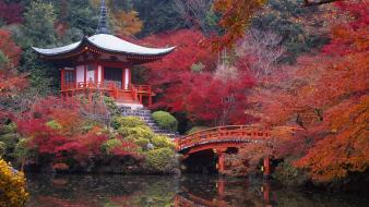 Japan autumn garden bridges kyoto lakes maple wallpaper