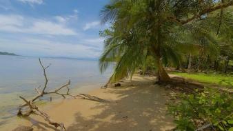 Landscapes nature beach tropical panama wallpaper