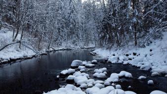 Landscapes nature winter snow trees rivers