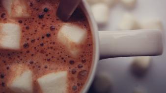 Marshmallow beverages hot chocolate wallpaper