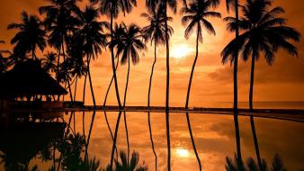 Sunset silhouette palm trees reflections wallpaper