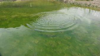 Green water waves iran lakes amin peyrovi wallpaper