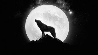 Moon wolves wallpaper