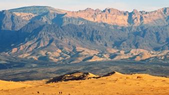 Mountains landscapes desert camels wallpaper