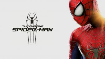 Spider-man the amazing spiderman 2 wallpaper