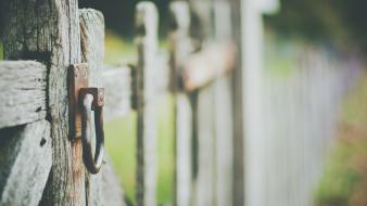 Fences wood depth of field wooden fence