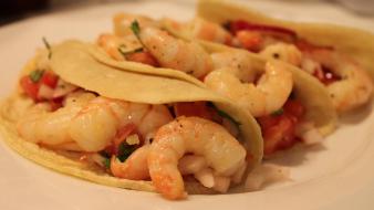 Food tacos shrimps