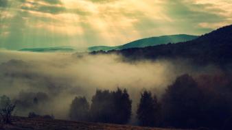 Landscapes nature trees fog mist sunlight bieszczady wallpaper