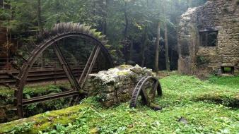 Landscapes trees ruins forest gears moss wallpaper