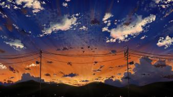 Sunset clouds birds scenic power lines sky