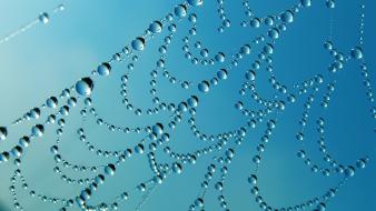 Water drop textures web artwork condensation dew wallpaper