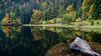 Water nature forest lakes reflections wallpaper