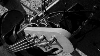 Cats bass guitars instruments musican copia wallpaper