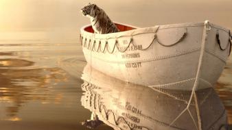 Fantasy movies life of pi wallpaper