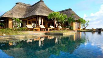 Houses palm trees