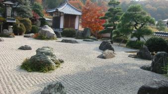 Japan trees garden zen red leaf